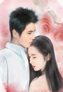 Chỉ Quan Tâm Đến Em