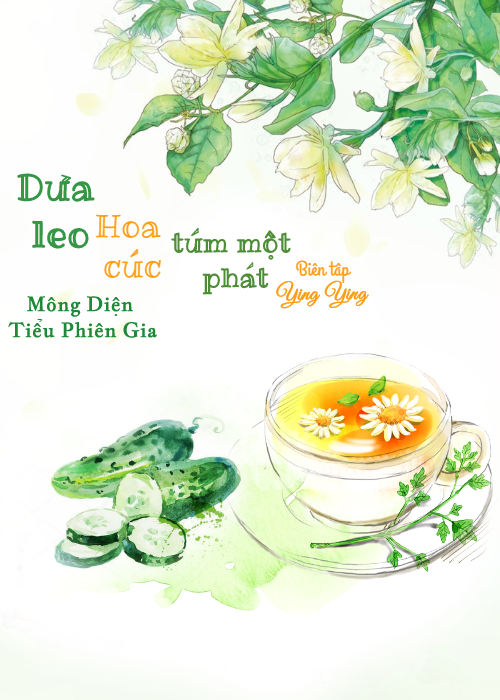 Dưa Leo Hoa Cúc Túm Một Phát