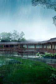 Tiếng Nước Tí Tách